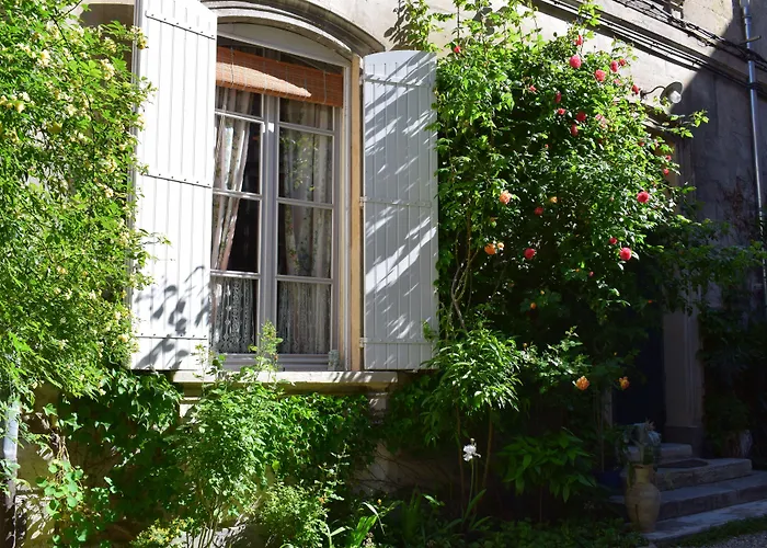 Hotel Cocooning Avignon